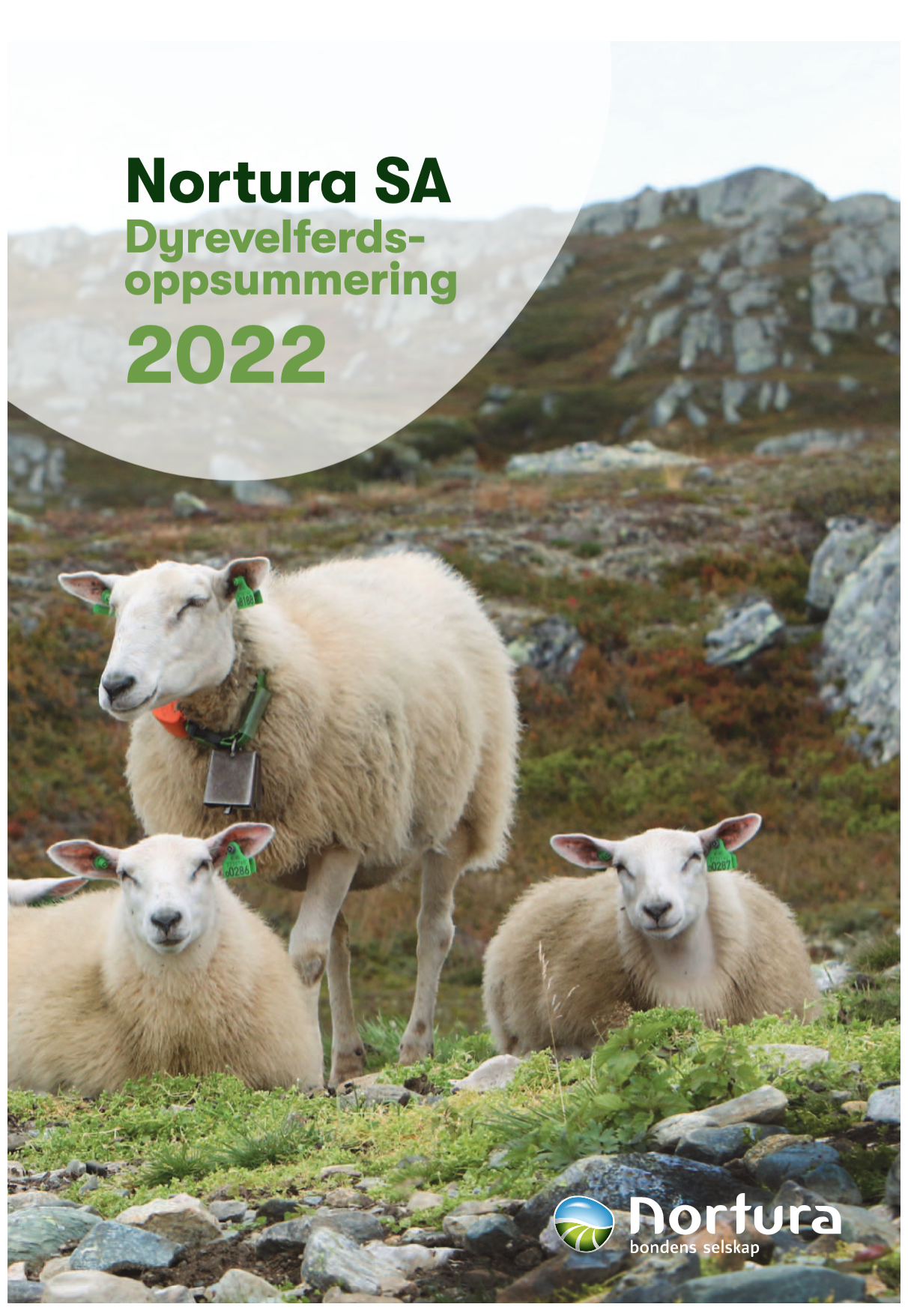 Skjermbilde 2023 04 03 kl 11 08 39