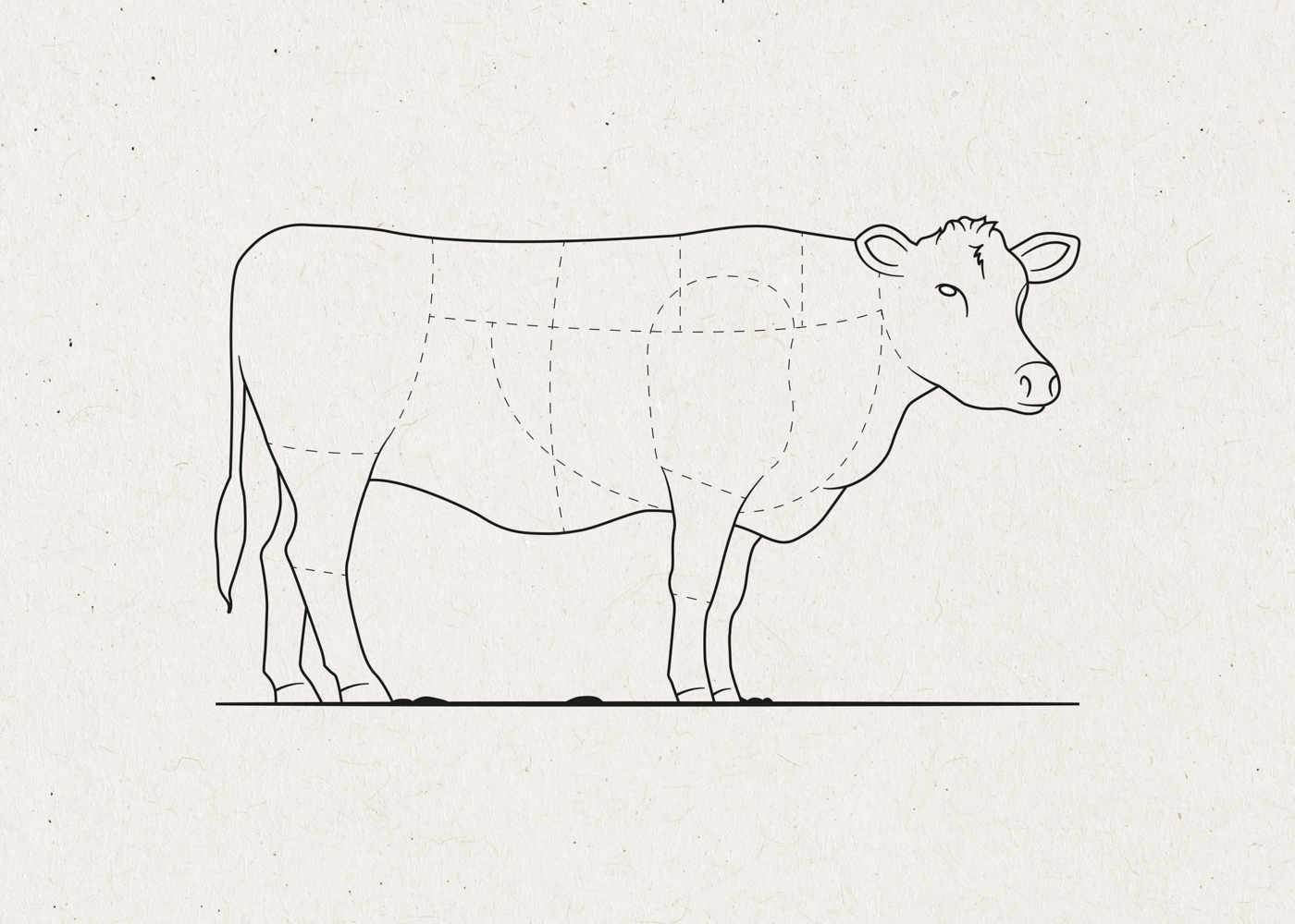 Gilde Dyreslag Oppdelingsguide stykningsdeler 01