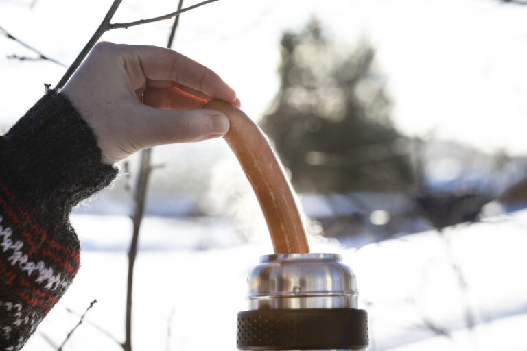 Gilde wienerpolse pa tur no022193