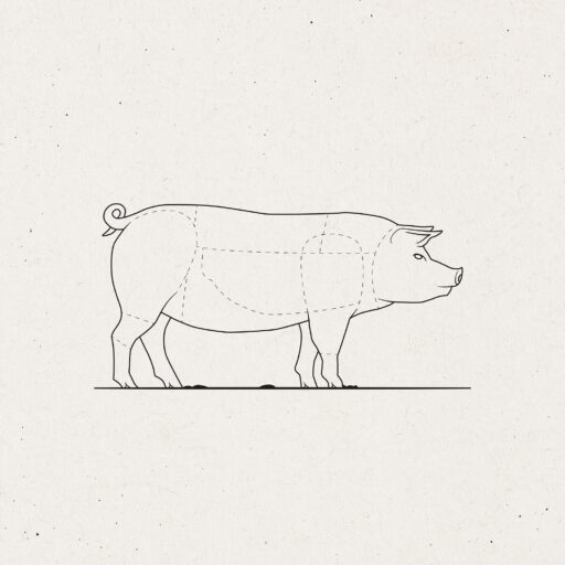 Gilde Dyreslag Oppdelingsguide stykningsdeler 02